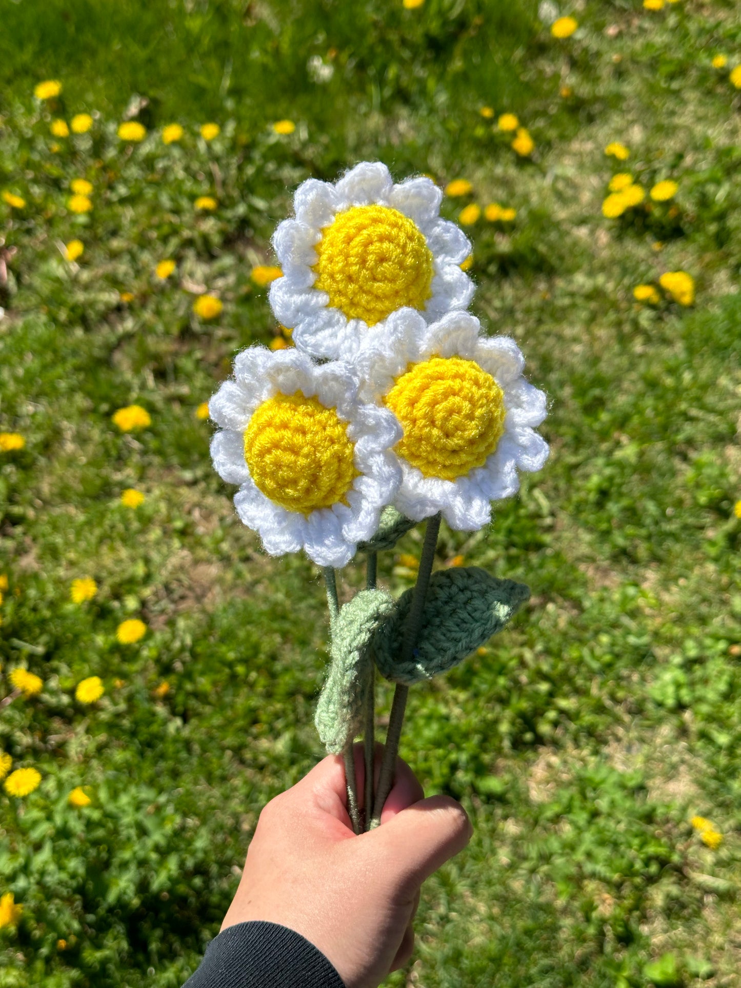 Crochet Flowers🌷