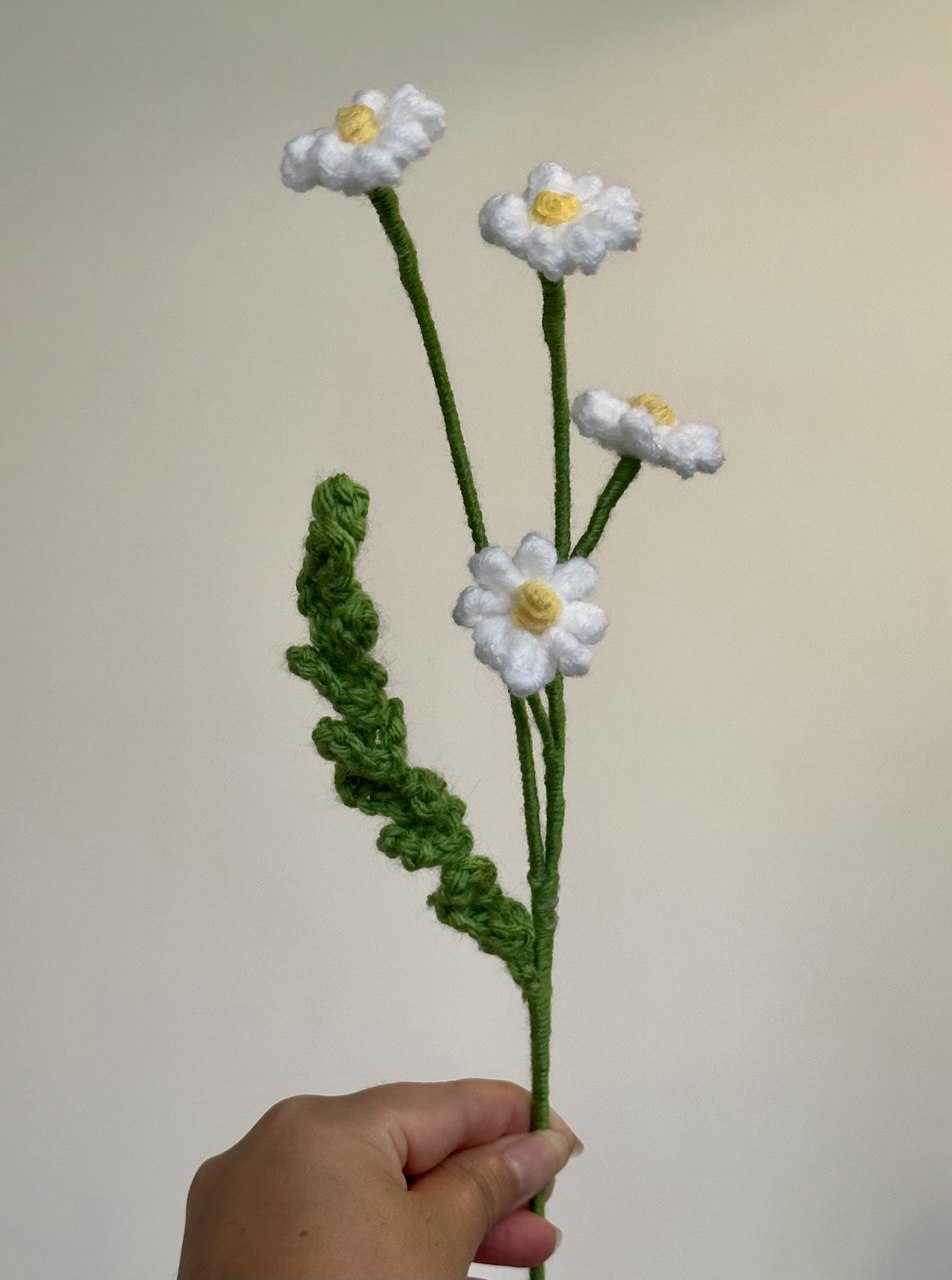 Crochet Chamomile (Handmade Multi-coloured flowers)